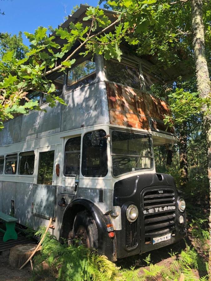 Cosmic English Bus 2 Floor Mimizan-Plage エクステリア 写真